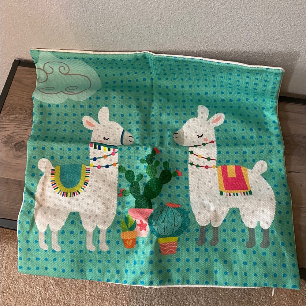 Pillow cover